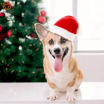 חיות מחמד כלב חתול כובע סנטה חג מולד תלבושות אביזרים קטנים, כלבים חתולים חורף חם כובע על Holloween חג המולד תמונות מהמסיבה.